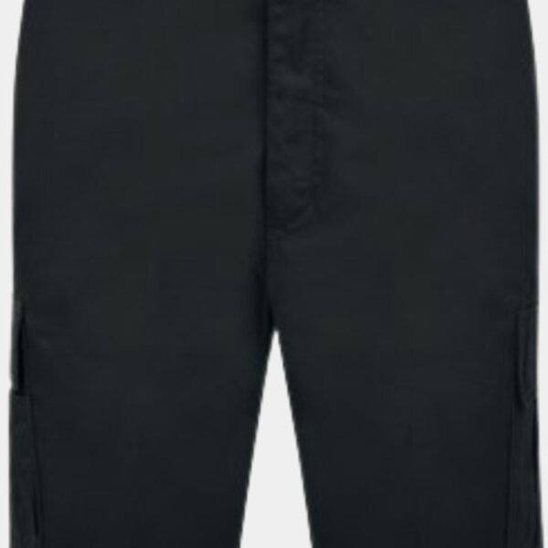 CARGO WORK SHORTS 245GSM ADULT Thumbnail